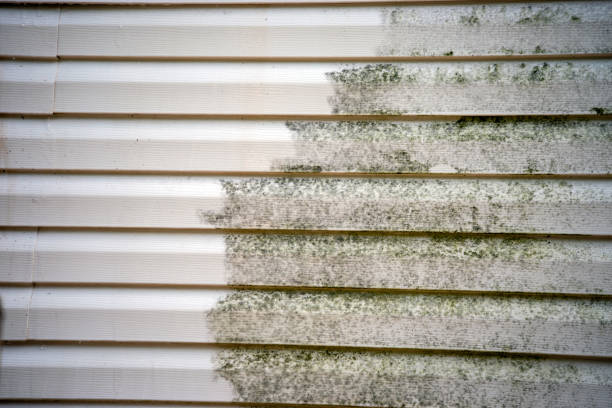 Best Attic Cleanout  in Sanborn, IA